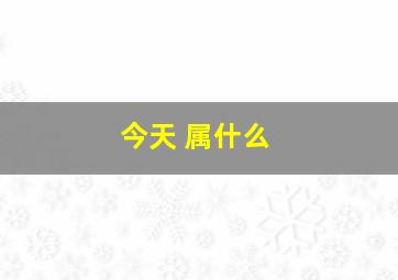 今天 属什么